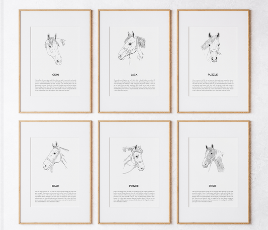 Eastside X by Denkhaus | Horse Stories